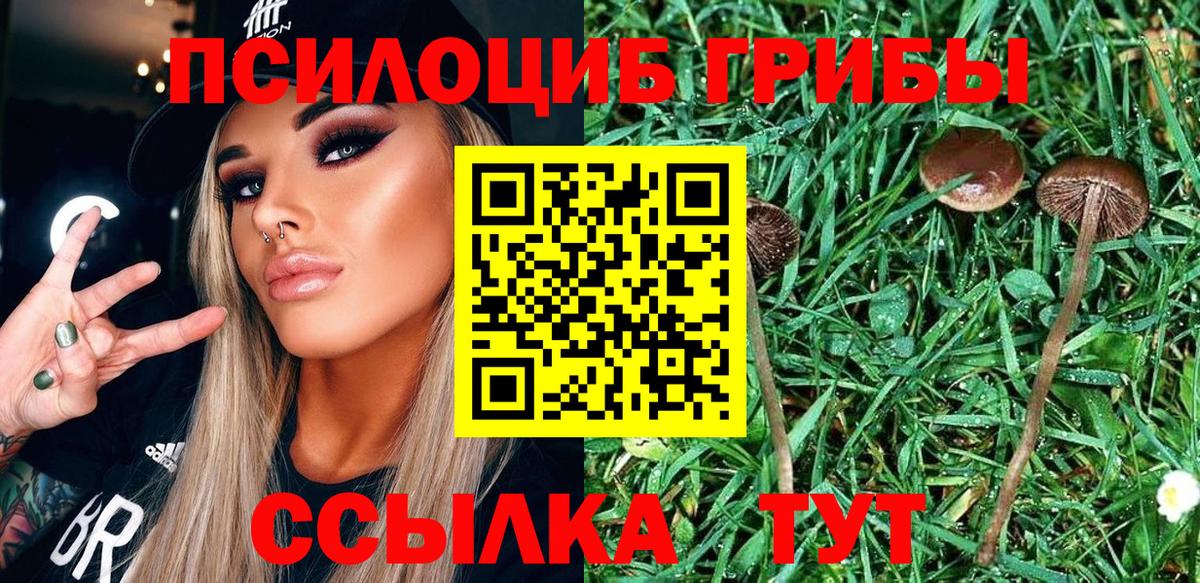 Бутурлиновка  Галлюциногенные грибы Cubensis  дарнет шоп  Вход с VPN  Псилоцибиновые грибы Psilocybe 